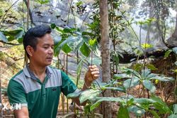 Kết nối nông nghiệp, du lịch, mở hướng phát triển kinh tế miền núi