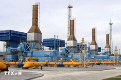 Nga đặt mục tiêu khôi phục xuất khẩu dầu diesel về mức trước khủng hoảng