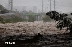 Bão Simon liên tiếp gây thiệt hại về người tại Mexico