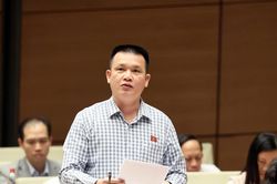 Trách nhiệm của đại biểu mang tiếng nói của cử tri gửi tới Quốc hội