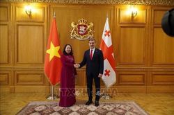 Phó Chủ tịch nước Võ Thị Ánh Xuân hội kiến lãnh đạo cấp cao Gruzia