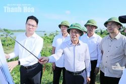 Thường trực Tỉnh ủy kiểm tra thực địa phương án Trung tâm hành chính mới, quy hoạch đô thị và công tác bảo vệ môi trường