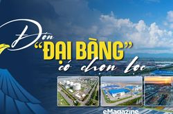 Đón 'đại bàng' có chọn lọc