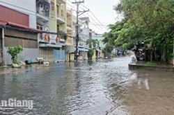Người dân Mỹ Thới mong sớm nâng cấp đường Trần Quang Khải