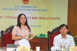 An Giang có hơn 156 tỉ đồng nợ bảo hiểm xã hội, 330 đơn vị khó thu hồi
