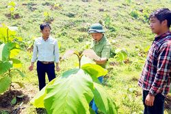 Bắc Ninh: Dồn lực giải các bài toán lớn về khoa học, công nghệ