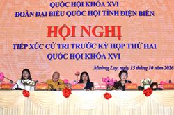ĐBQH tỉnh tiếp xúc cử tri 3 xã, phường
