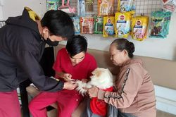 Gian nan phòng, chống bệnh dại