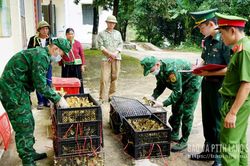 Ngăn hàng lậu từ biên giới