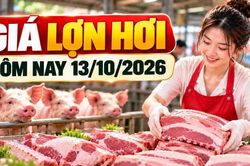 Giá lợn hơi hôm nay 13/10: Nhiều địa phương giữ mức 53.000 đồng/kg