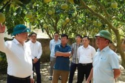Đồng chí Sùng A Lềnh làm việc với Đảng ủy phường Trung Tâm, khảo sát thực tế tại tổ dân phố Quân Chanh
