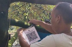 Chăm sóc cây trồng thời công nghệ số