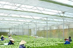 Lâm Đồng mở rộng hợp tác với Hàn Quốc