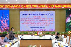Lâm Đồng phát triển kinh tế tập thể gắn với nâng cao hiệu quả hoạt động hợp tác xã