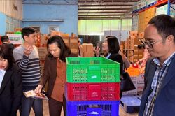 Lâm Đồng: Mở đường cho nông sản xuất khẩu bằng chuẩn vệ sinh dịch tễ quốc tế