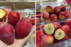 Giá cả thị trường ngày 13/10/2026