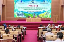 Năm 2026, các tỉnh phía Bắc ước đạt trên 12,5 triệu tấn lúa và trên 12,1 triệu tấn rau màu