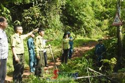 Giữ màu xanh cho cao nguyên Mộc Châu