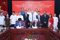 Hợp tác hỗ trợ phát triển cà phê Arabica Sơn La vươn ra thị trường quốc tế