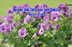 Dự báo thời tiết toàn tỉnh Sơn La ngày 14/10/2026