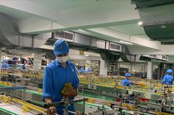 Thấy gì từ khoảng cách sinh lời giữa các khu vực doanh nghiệp?