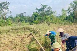 Nghệ An: Đặt mục tiêu huy động hơn 537.000 ngày công làm thủy lợi, giao thông