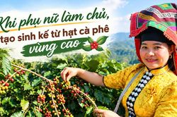 Khi phụ nữ làm chủ, tạo sinh kế từ hạt cà phê vùng cao