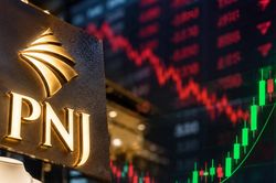 PNJ bất ngờ tăng mạnh phiên 13/10, VN-Index vẫn chìm trong sắc đỏ