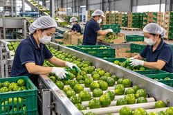 Bài toán tỷ USD phía sau những chuyến hàng nông sản