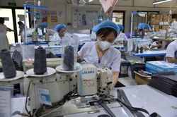 Học một ngành, làm một nghề: Vì sao nhiều người trẻ phải bắt đầu lại?