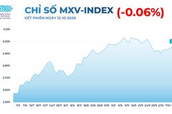 Thi trường hàng hóa: Giá bạc giằng co quanh mốc 60 USD/oz
