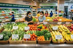 Rau quả Việt mở rộng xuất khẩu không quên chú trọng thị trường nội địa