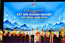 Doanh nghiệp nhỏ và vừa vươn mình bằng đổi mới sáng tạo và ứng dụng khoa học, công nghệ
