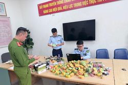 Hà Nội tịch thu hơn 1.684 bao thuốc lá nhập lậu