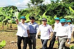 Khánh Hòa phấn đấu nâng thu nhập người lao động HTX lên 120 triệu đồng/năm vào năm 2030