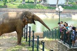 Công viên Thủ Lệ dự kiến chuyển từ xem thú trong lồng sang trải nghiệm hoang dã