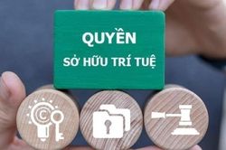 Bảo hộ tài sản trí tuệ trong kỷ nguyên số, rào chắn bảo vệ thành quả nghiên cứu