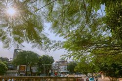 Hà Nội ngày nắng, đêm không mưa