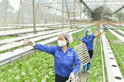 Chuyển đổi số để nâng tầm nông nghiệp Thủ đô