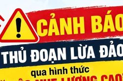 Cảnh báo tránh sập bẫy 'việc nhẹ lương cao'