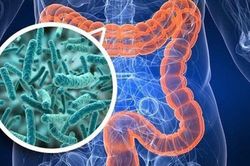 Tuổi 50 muốn khỏe, hãy duy trì 4 thói quen tốt cho hệ vi sinh đường ruột