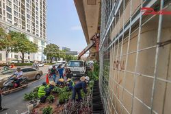 Hà Nội thí điểm phủ xanh trụ cầu, hầm chui và nhà chờ xe buýt