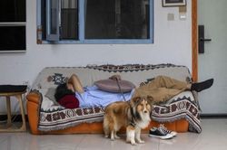 Người trẻ Trung Quốc 'nằm thẳng' giữa bão thất nghiệp