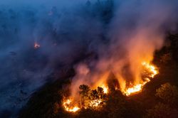 Cháy rừng do El Nino thiêu rụi gần 300 ngôi nhà ở Indonesia