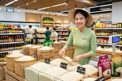 Giá lúa gạo hôm nay 14.10.2026: Hai loại lúa tăng 100 đồng/kg
