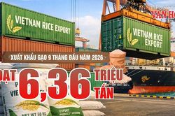 Xuất khẩu gạo: Kim ngạch giảm nhanh hơn sản lượng