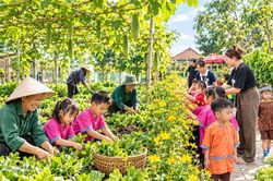 Thúc đẩy phát triển du lịch: Gia Lai tạo kết nối nông sản, ẩm thực với nội dung sáng tạo