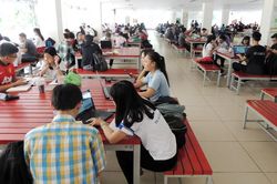 Người trẻ ngày càng phụ thuộc vào trí tuệ nhân tạo