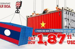 Việt Nam nhập khẩu từ Lào gấp 2,4 lần xuất khẩu