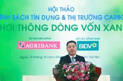 Tín dụng xanh bắt tay thị trường carbon, khơi thông dòng vốn cho doanh nghiệp